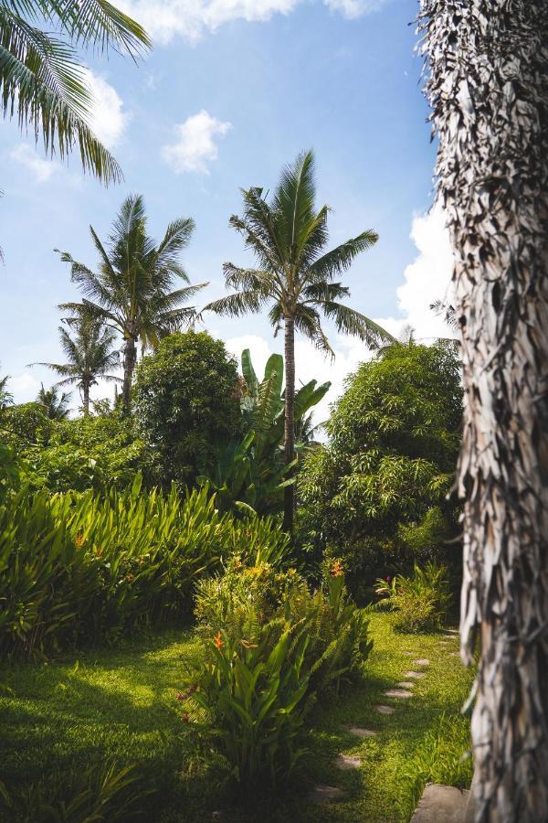 Triangle Palms Siargao Villa เจเนอรัลลูนา ภายนอก รูปภาพ